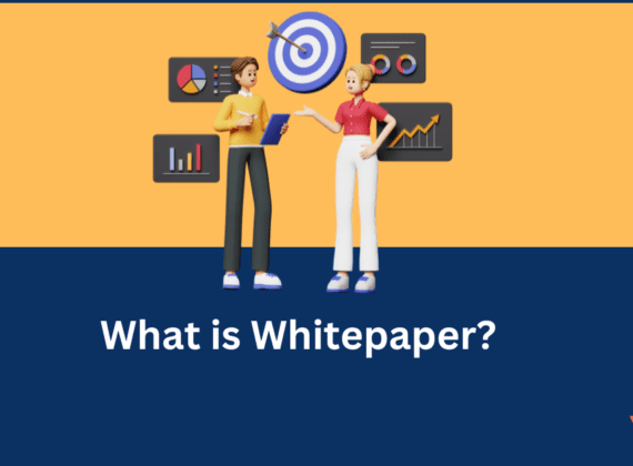 What is Whitepaper?